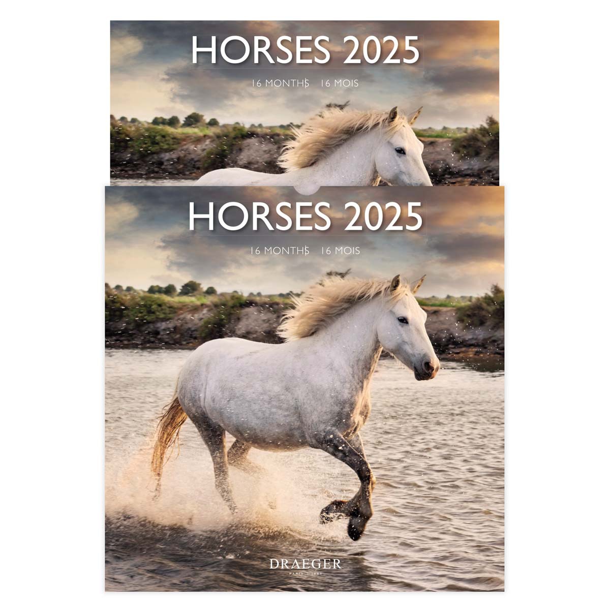 Calendário 2025 16 meses (setembro-dezembro)vista de mês por página com desenhos de cavalos Draeger Estampado-4