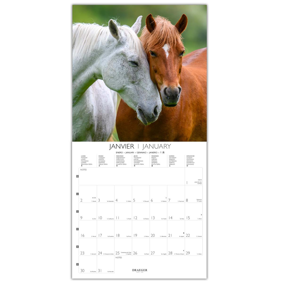 Calendário 2025 16 meses (setembro-dezembro)vista de mês por página com desenhos de cavalos Draeger Estampado-2