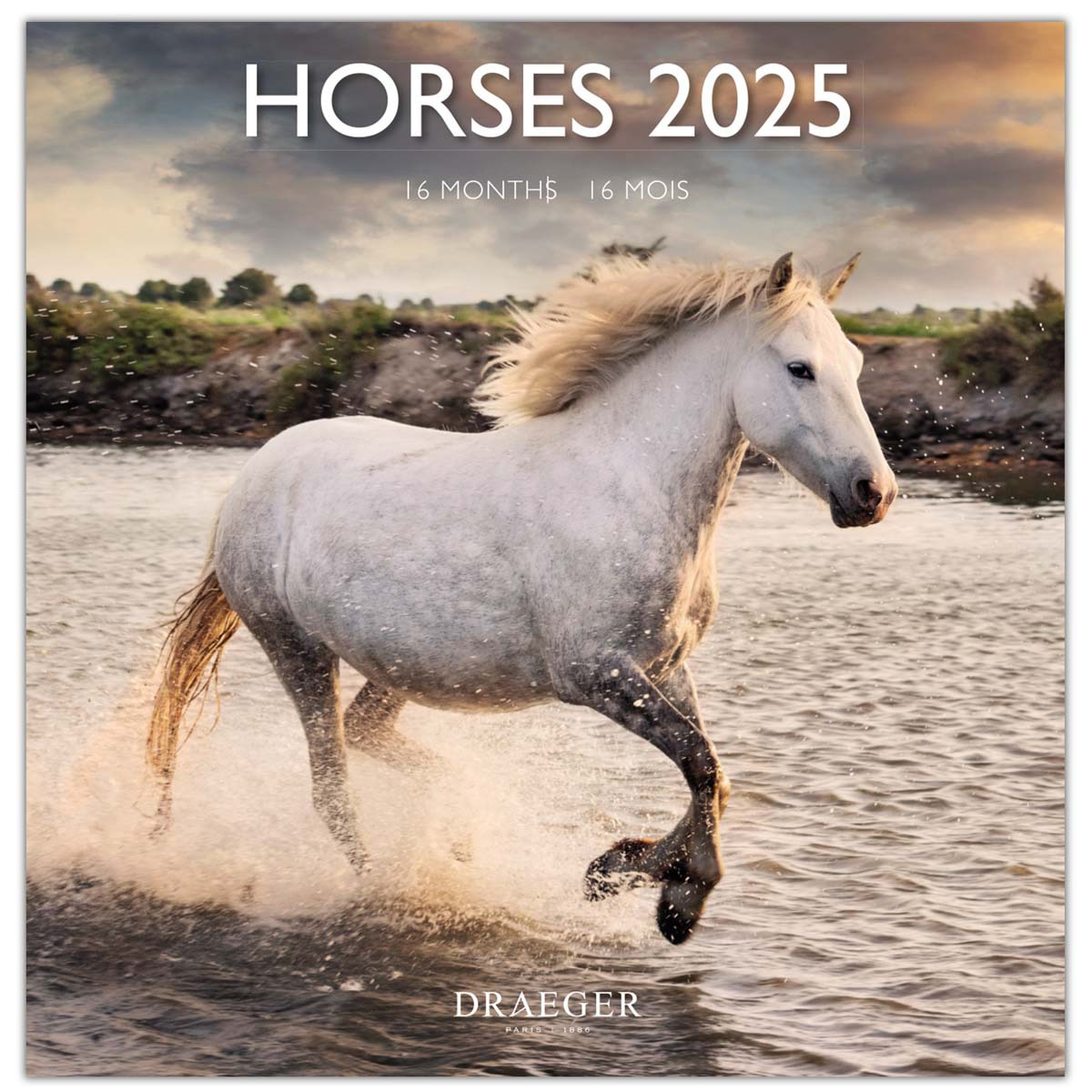 Calendário 2025 16 meses (setembro-dezembro)vista de mês por página com desenhos de cavalos Draeger Estampado-1