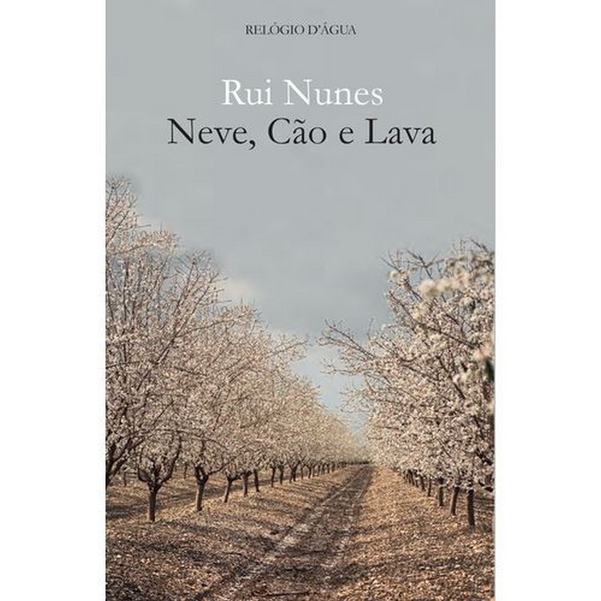Neve cao e lava 1