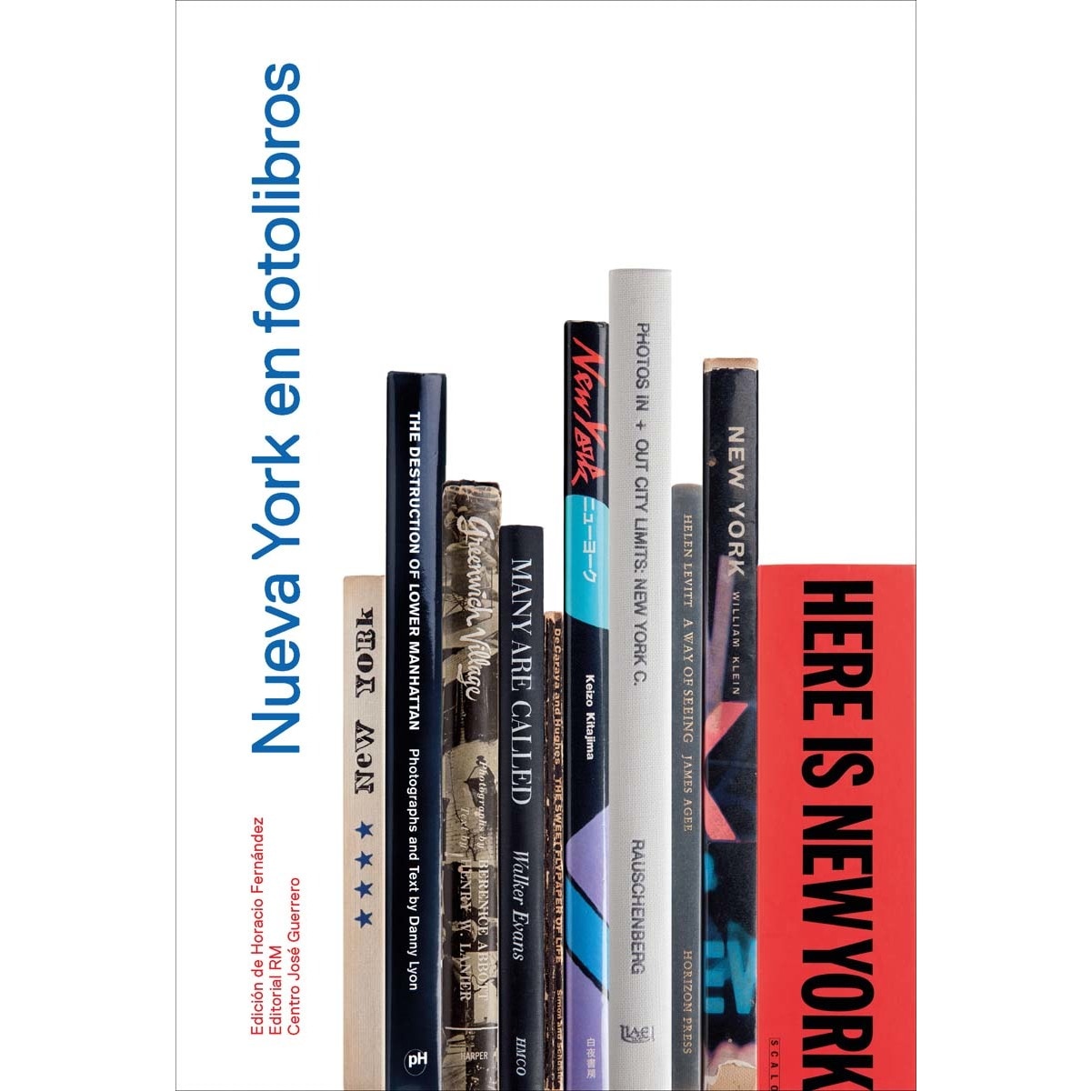 Nueva York en fotolibros (Capa mole) 1