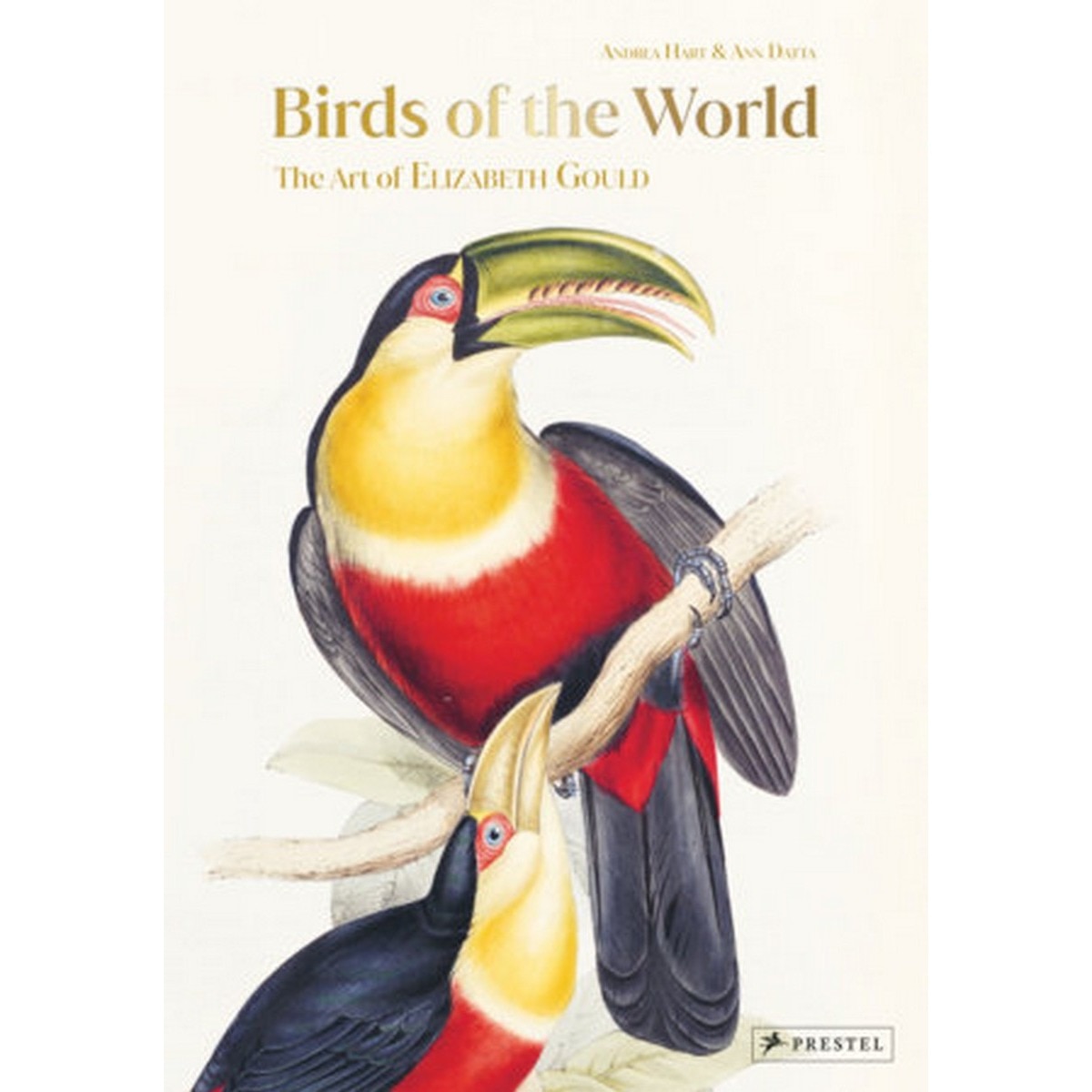 Birds of the world 1