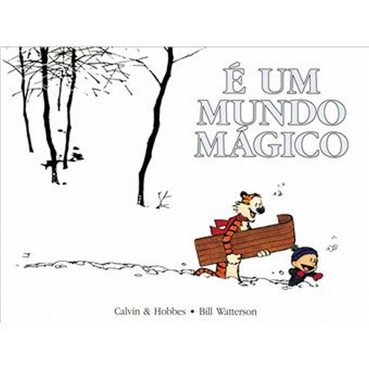 Calvin e um mundo magico 1