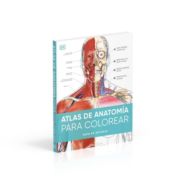 Atlas de anatomía para colorear: Guía de estudio (Capa mole) 3