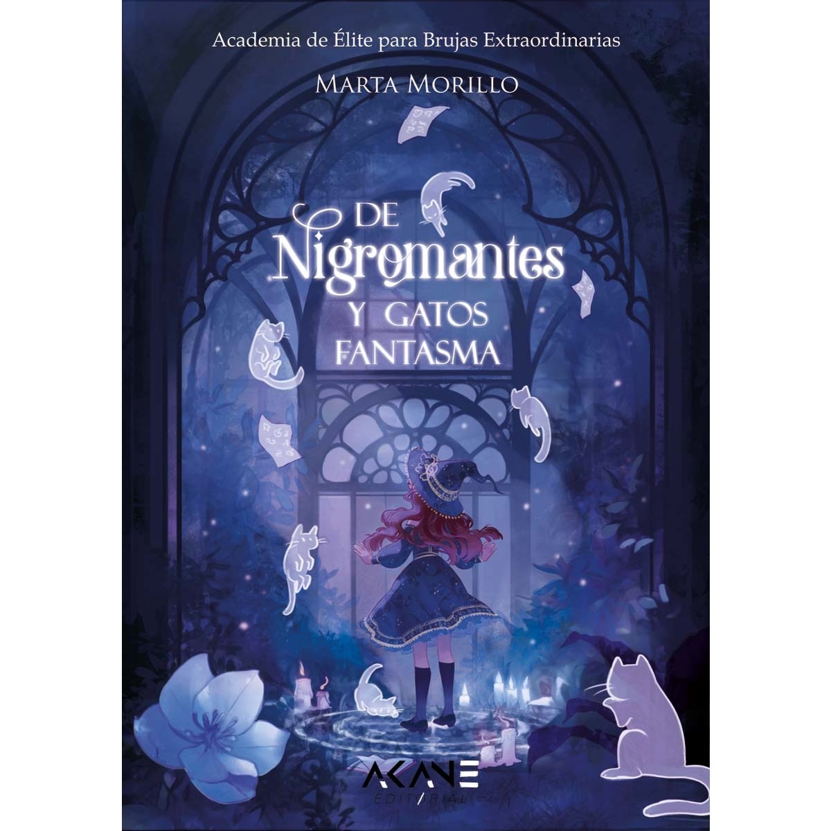 De nigromantes y gatos fantasma: Academia de Élite para Brujas Extraordinarias 1