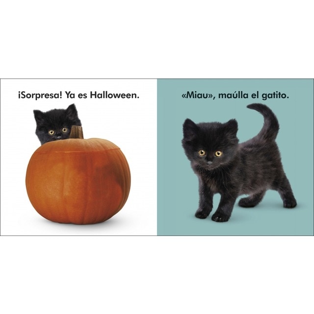 Toca y aprende - Halloween 5