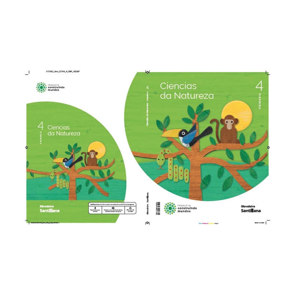 CIENCIAS DA NATUREZA 4 PRIMARIA CONSTRUINDO MUNDOS (Tapa blanda ...