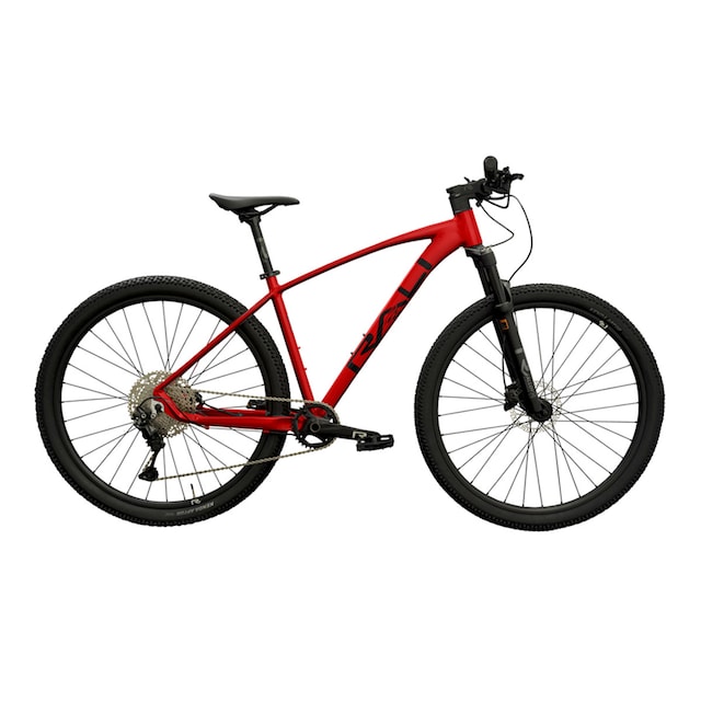 Imagen 0 de Bicicleta de montaña R-PRO 2.0 29'' Rali
