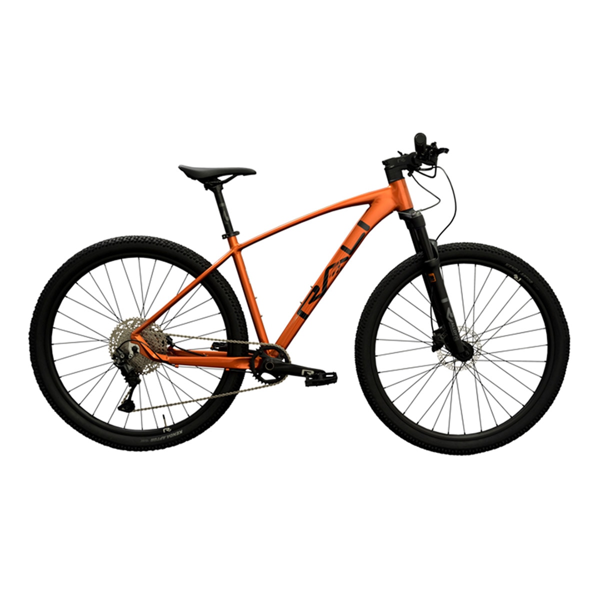 Imagen 0 de Bicicleta de montaña R-PRO 2.0 29'' Rali