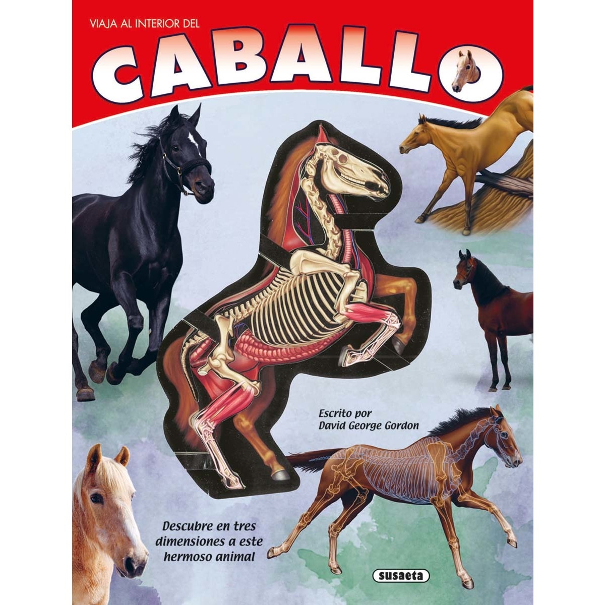 El caballo 1