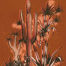 Argila
