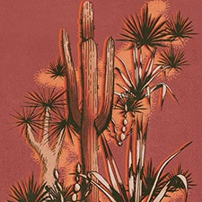 Coral