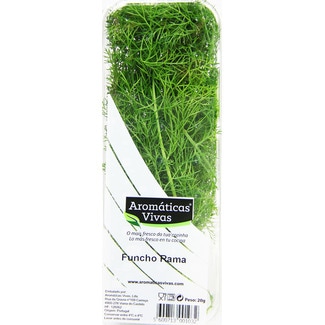 Funcho em Rama embalagem 20 g