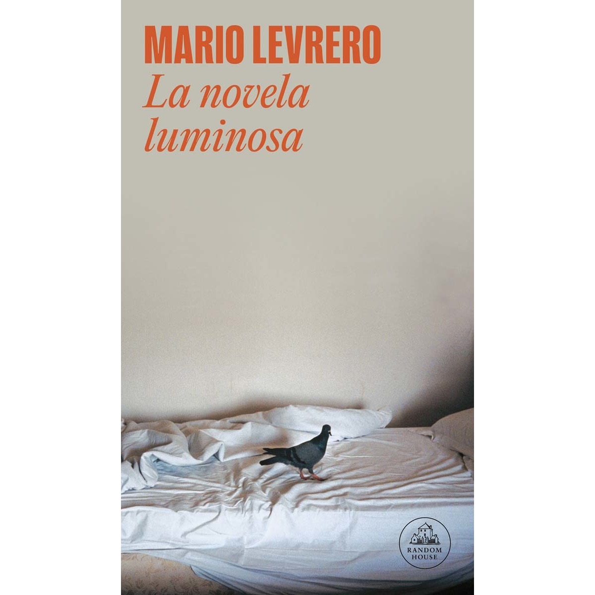 Imagen 0 de La novela luminosa (Tapa blanda)