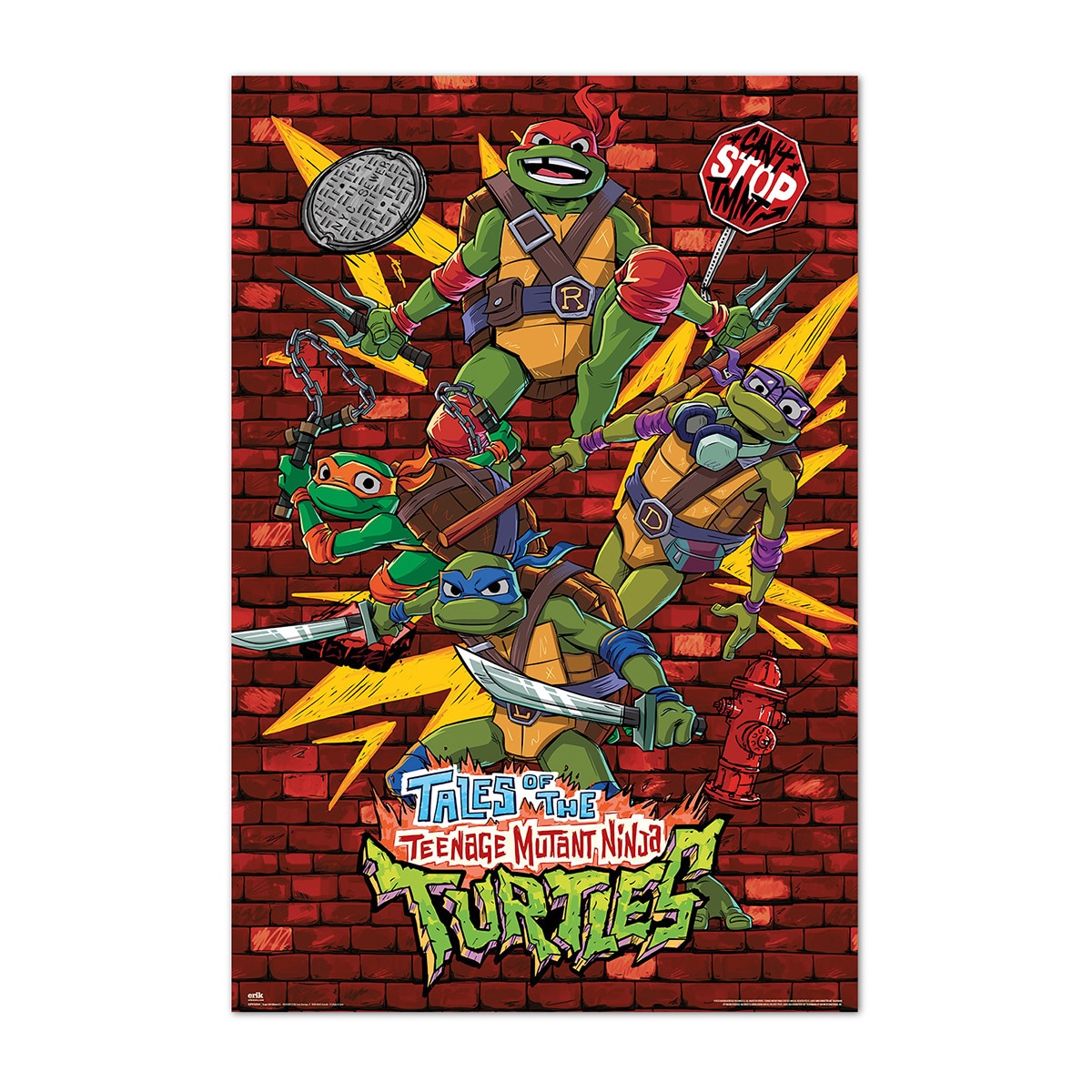 Póster Tortugas Ninja Erik 1