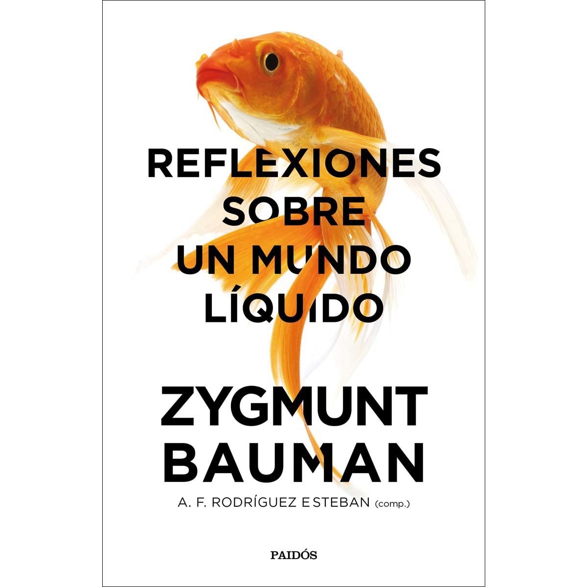 Reflexiones sobre un mundo líquido (Capa mole com abas) 1