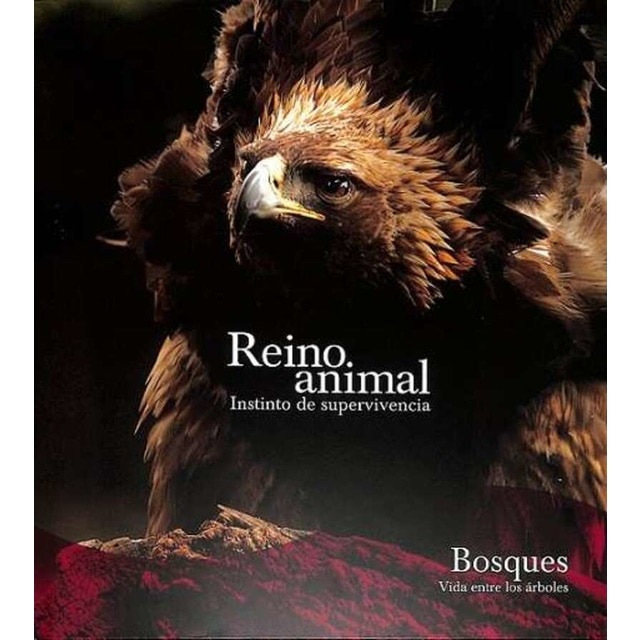 BOSQUES SE 1