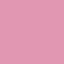 Rosa Rosa