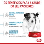 Ração para Cão Mini Junior a Partir dos 10 Meses com Mais de 10 kg embalagem 4 kg