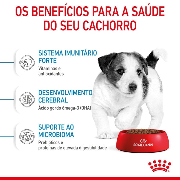 Ração para Cão Mini Junior a Partir dos 10 Meses com Mais de 10 kg embalagem 4 kg