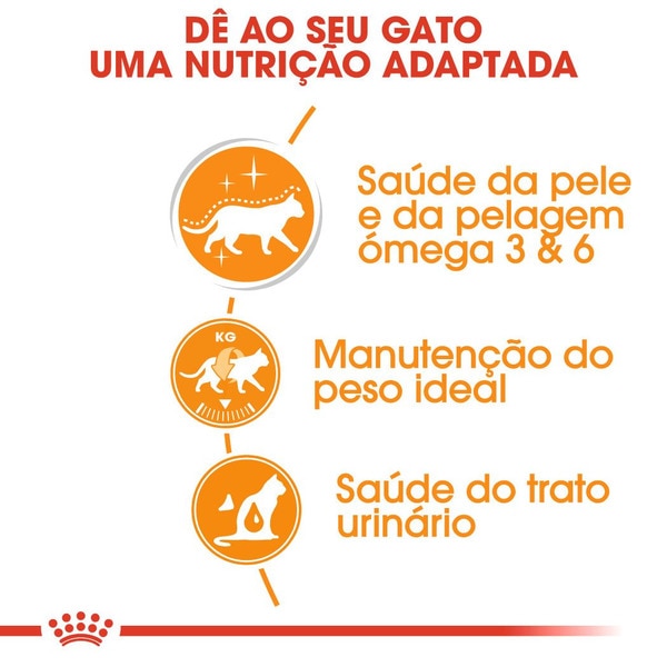 Ração para Cão Jack Russel Terrier Adulto embalagem 3 kg