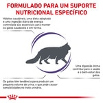 Ração para Cão Cavalier King Charles Adulto a Partir dos 10 Meses embalagem 3 kg