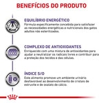 Ração para Cão Cavalier King Charles Adulto a Partir dos 10 Meses embalagem 3 kg