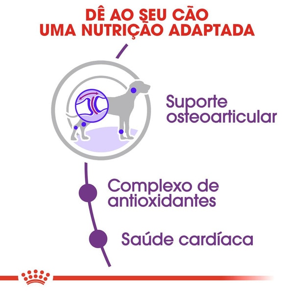 Ração para Cão Adulto Gigante a Partir dos 18/24 Meses com 45 kg e Mais embalagem 15 kg