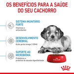 Ração para Cão Médio Junior a Partir dos 12 Meses dos 11 aos 25 kg embalagem 4 kg