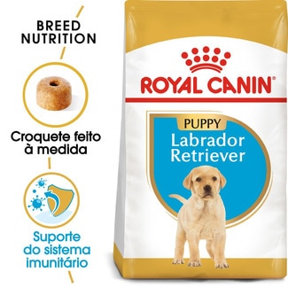 Ração para Cão Labrador Retriever Junior a Partir dos 15 Meses embalagem 3 kg - Royal Canin