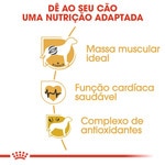 Ração para Cão Boxer Adulto a Partir dos 15 Meses embalagem 12 kg