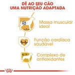 Ração para Cão Boxer Adulto a Partir dos 15 Meses embalagem 12 kg