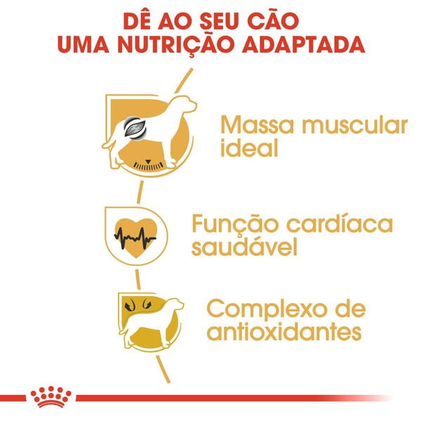 Ração para Cão Boxer Adulto a Partir dos 15 Meses embalagem 12 kg
