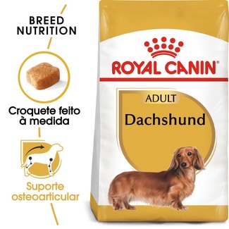 Ração para Cão Teckel Adulto a Partir dos 10 Meses embalagem 1,5 kg - Royal Canin