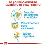 Ração para Cão Labrador Retriever Junior a Partir dos 15 Meses embalagem 12 kg