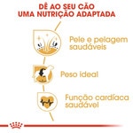 Ração para Cão Cocker Adulto a Partir dos 12 Meses embalagem 3 kg