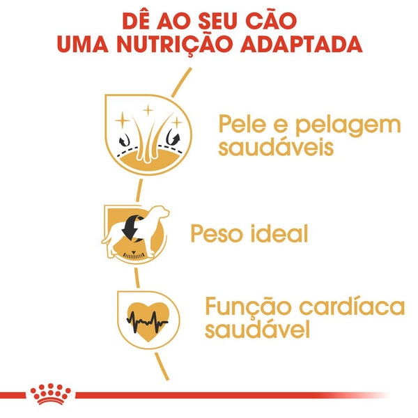 Ração para Cão Cocker Adulto a Partir dos 12 Meses embalagem 3 kg