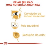 Ração para Cão Bulldog Francês a Partir dos 12 Meses embalagem 9 kg