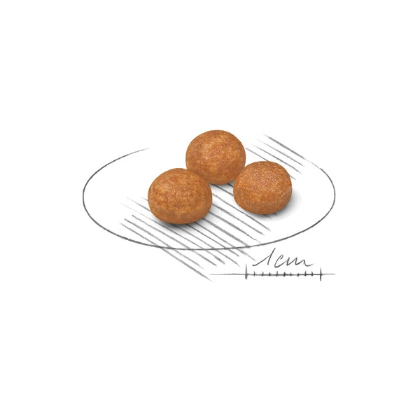 Alimento Seco para Cão X-Small Adulto a Partir dos 10 Meses com Mais de 4 kg embalagem 500 g