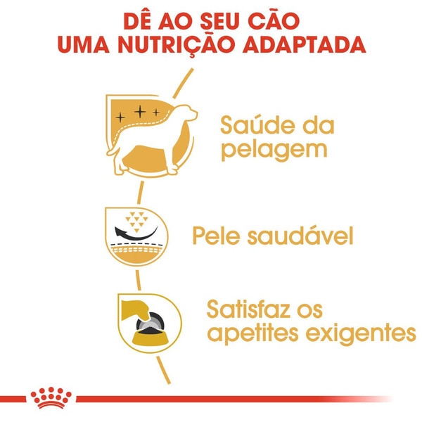 Alimento Seco para Cão X-Small Adulto a Partir dos 10 Meses com Mais de 4 kg embalagem 500 g