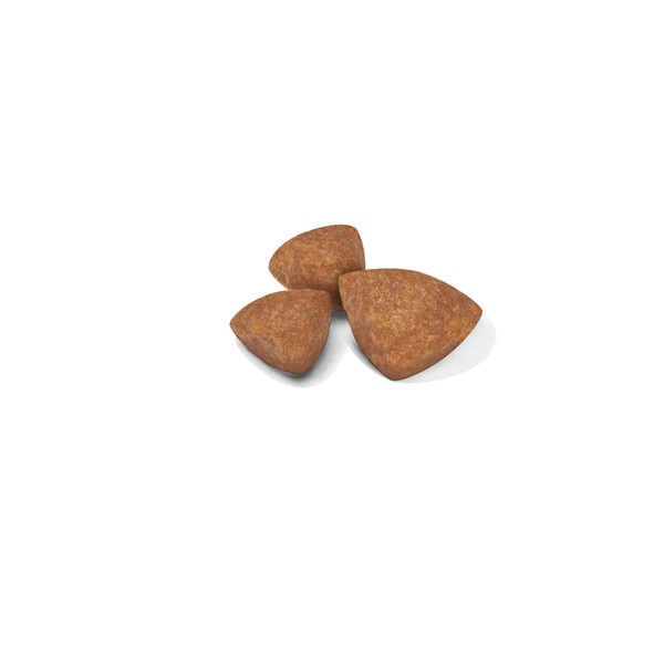 Ração para Cão X-Small Junior a Partir dos 10 Meses com Mais de 4 kg embalagem 500 g