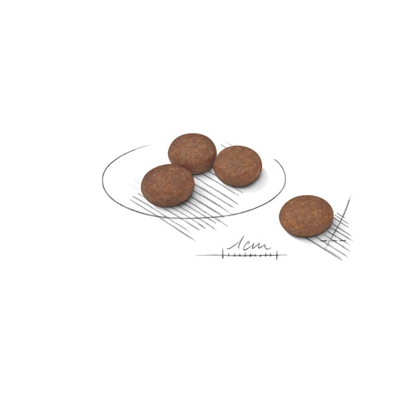 Ração para Cão Mini Digestive Care embalagem 1 kg