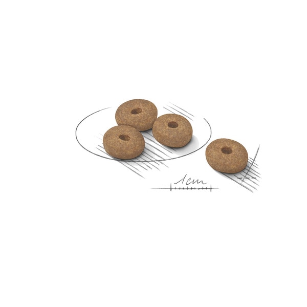 Alimento Seco para Cão Light Weight Care Raças Mini embalagem 3 kg