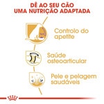 Alimento Seco para Cão Adulto Esterilizado Labrador Retriever embalagem 12 kg