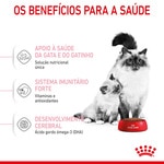 Ração para Gato Mother & Baby Cat embalagem 2 kg