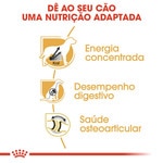 Ração para Gato Hair & Skin Care embalagem 400 g