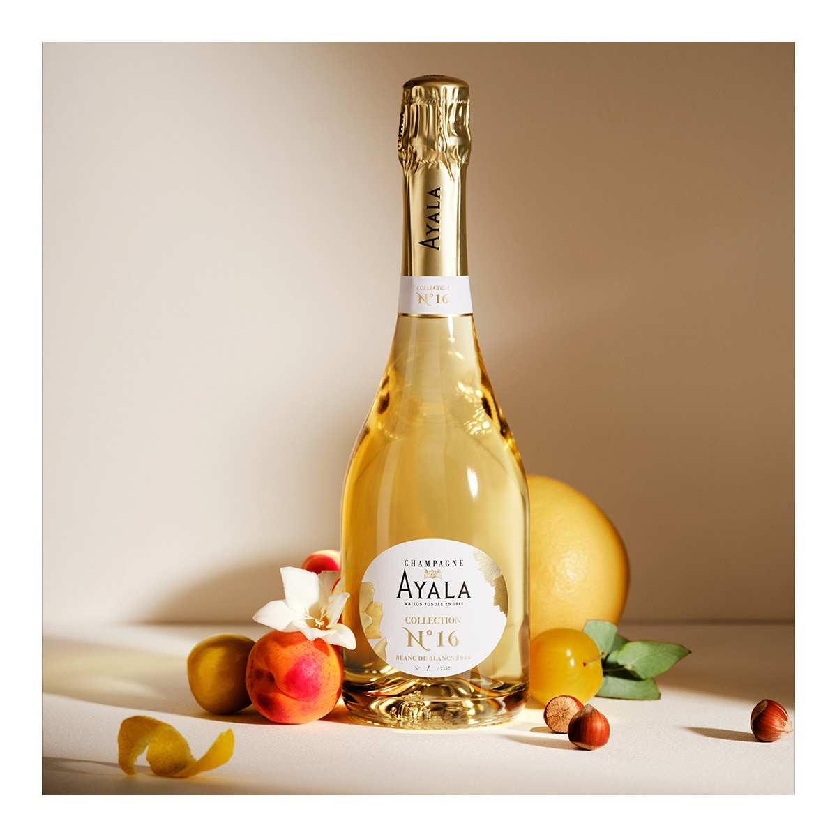 アヤラ コレクション N°16 箱付 Estuche Champagne Ayala Nº 16 blanc de blancs · Ayala · El Corte