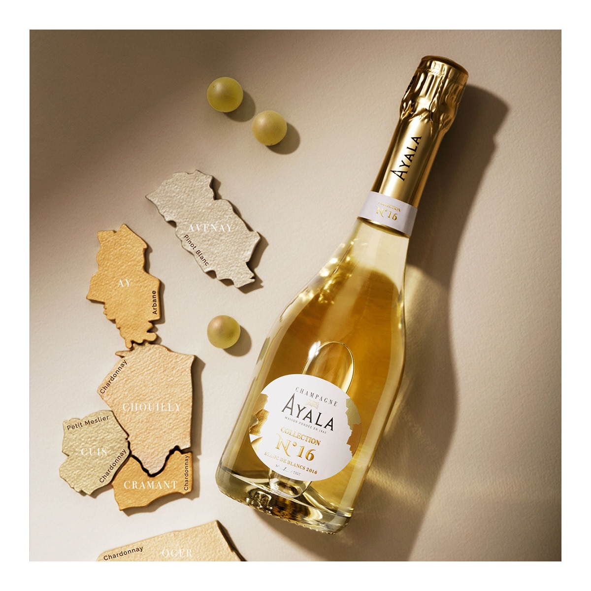 Estuche Champagne Ayala Nº 16 blanc de blancs · Ayala · El Corte Estuche Champagne Ayala Nº 16 blanc de blancs · Ayala · El Corte