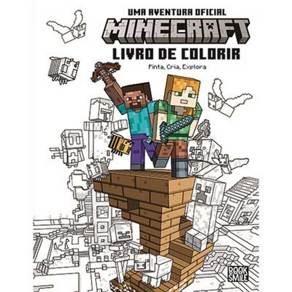 Minecraft colorir 1