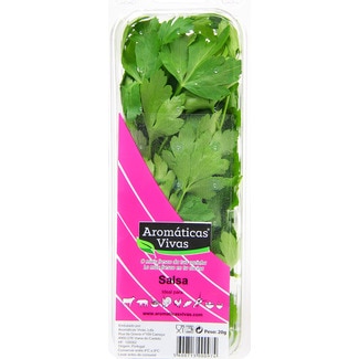Salsa embalagem 20 g
